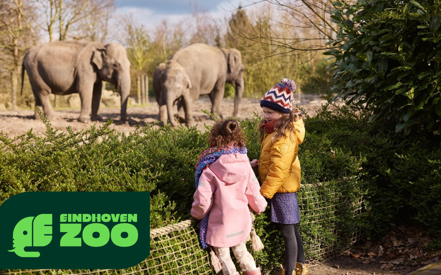 Eindhoven ZOO - afbeelding 1